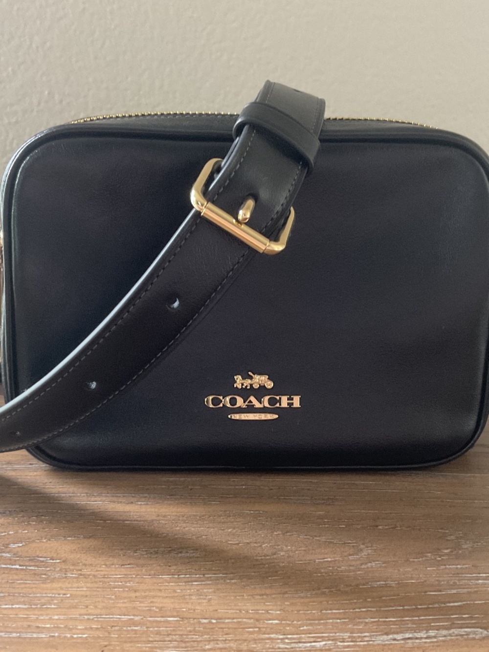 Coach Mini Carey Crossbody Bag CEA02 crinkle leather/Gold/Blackee